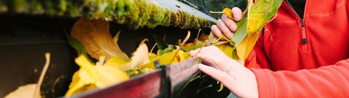 Keep your rental property maintenance
