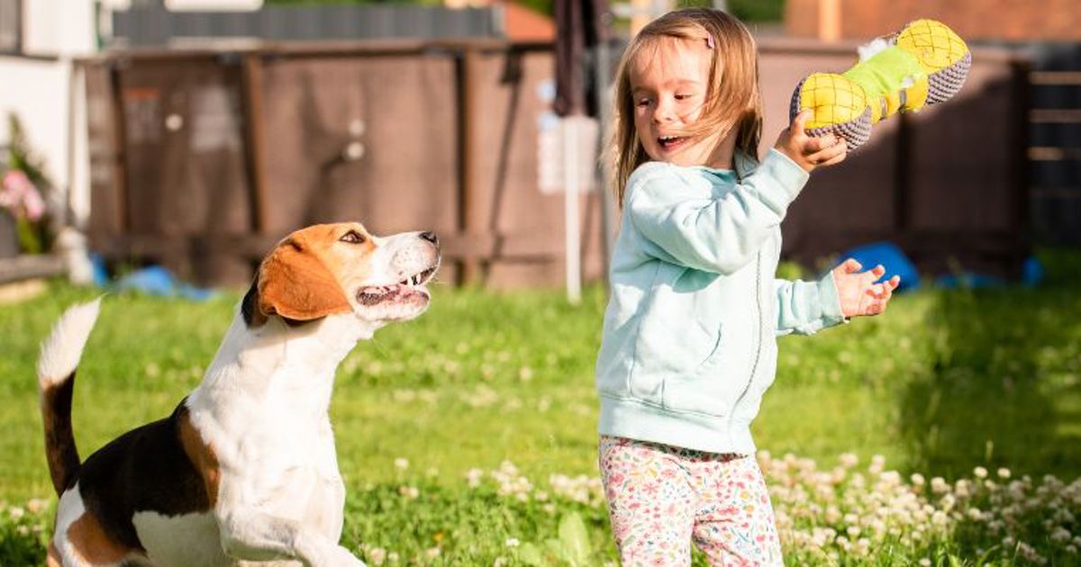 Pet Bonds Pet Friendly Rental Tenancy Crockers