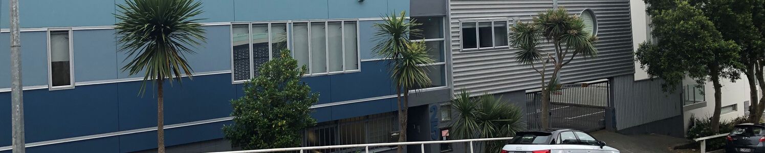 25 Dundonald Street
