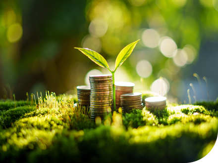 Maximising your rental returns
