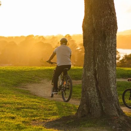 Crockers Property Management Auckland