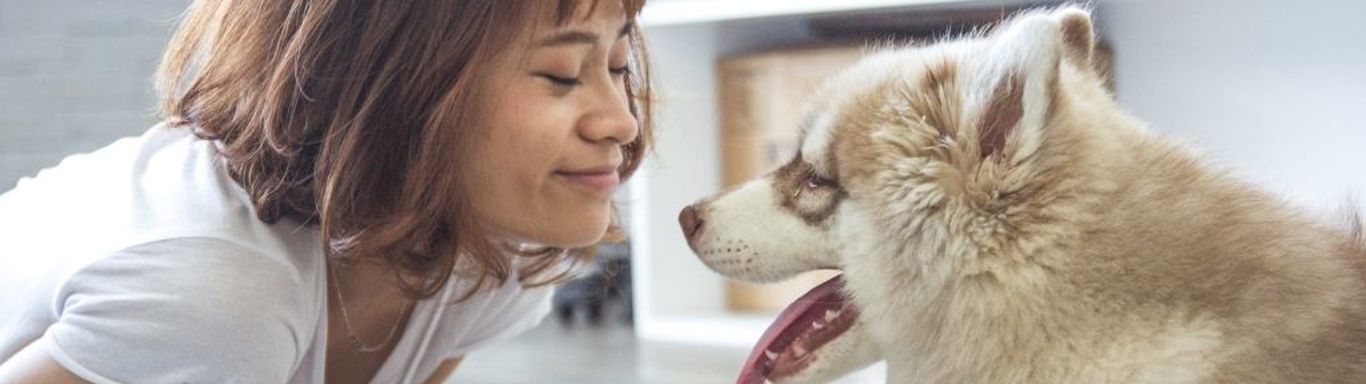 Pets can help make a home more homely