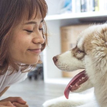 Pets can help make a home more homely